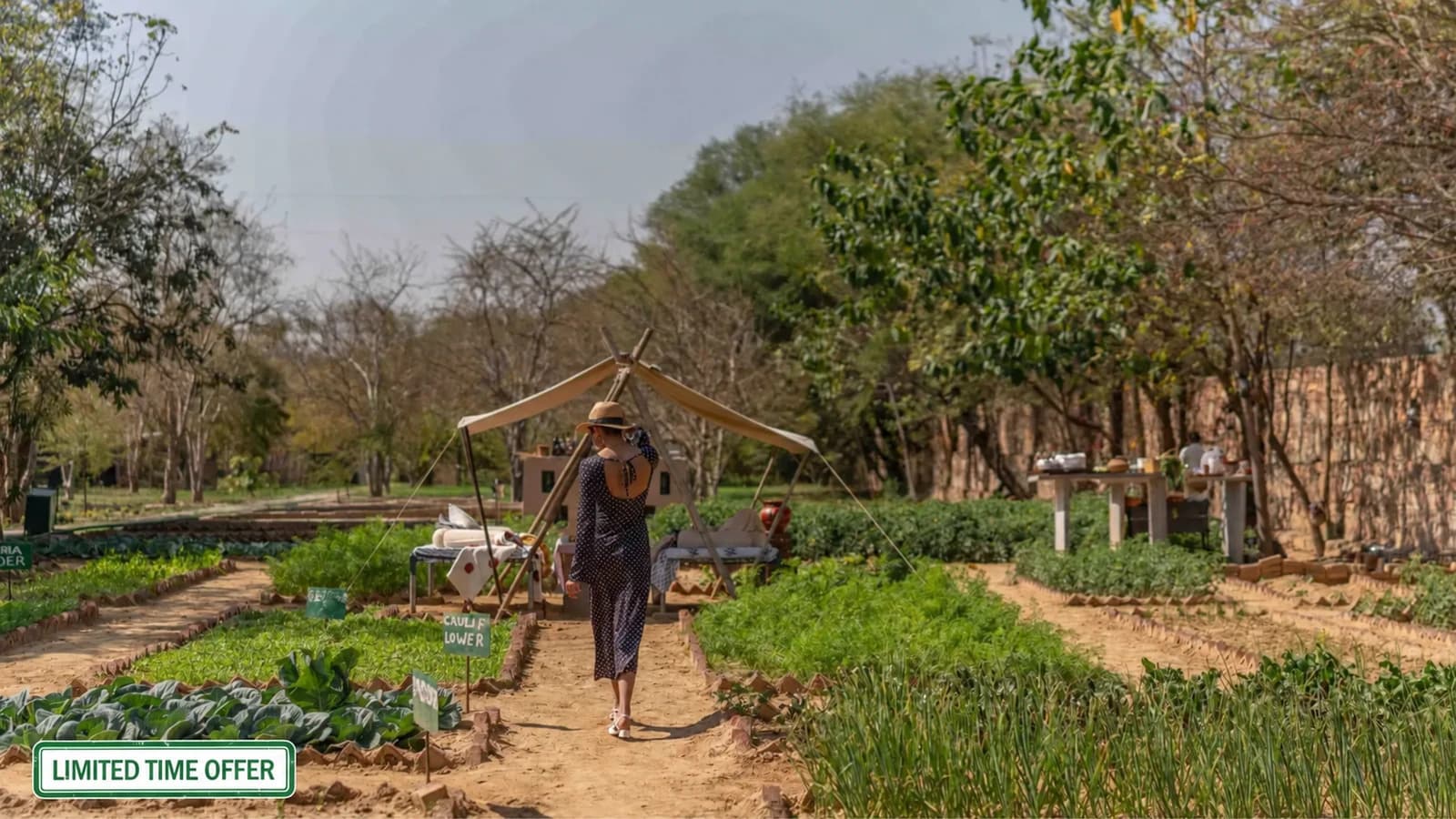 Guest walking through the kitchen garden at Brij Bageecha, Kukas, Jaipur