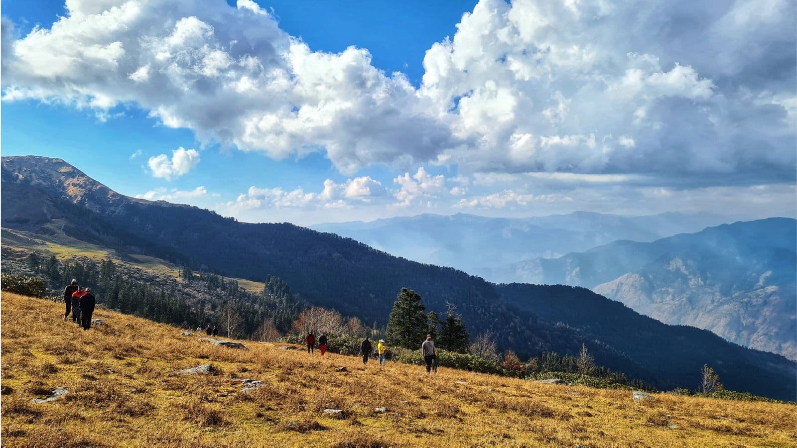 Tagore Top Hike Tagore Top Hike