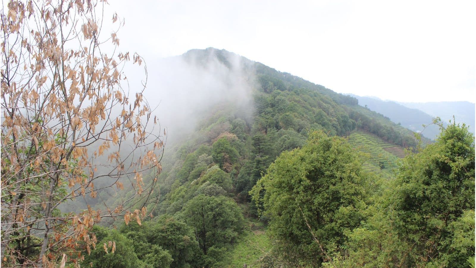 Mahesh Khan Hike Mahesh Khan Hike