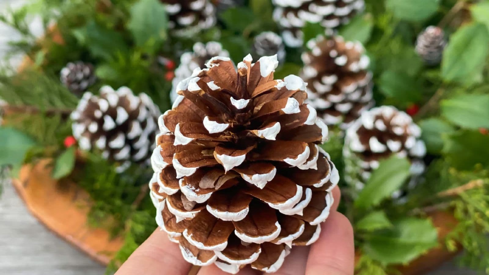 Pine Cone Painting Pine Cone Painting