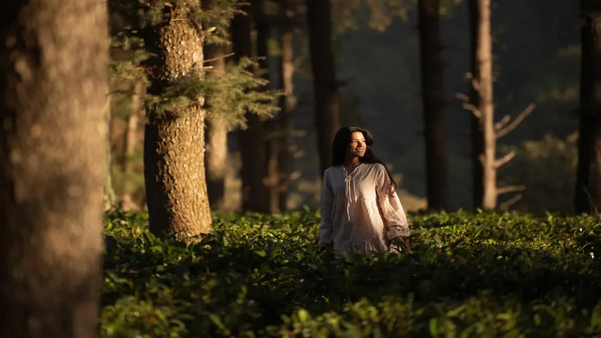 Into the Wild Into the Wild