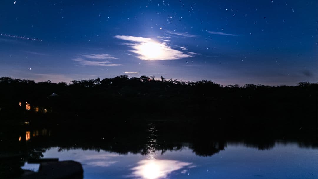 Stargazing Stargazing