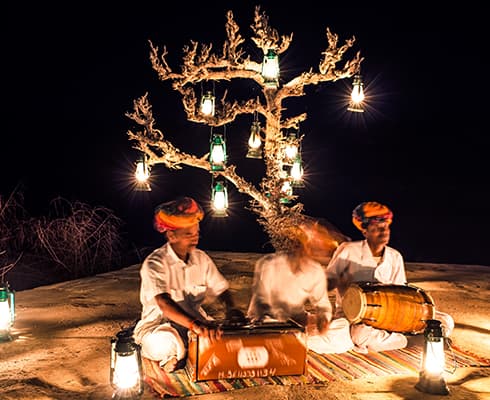 Dinner Under the Stars Dinner Under the Stars