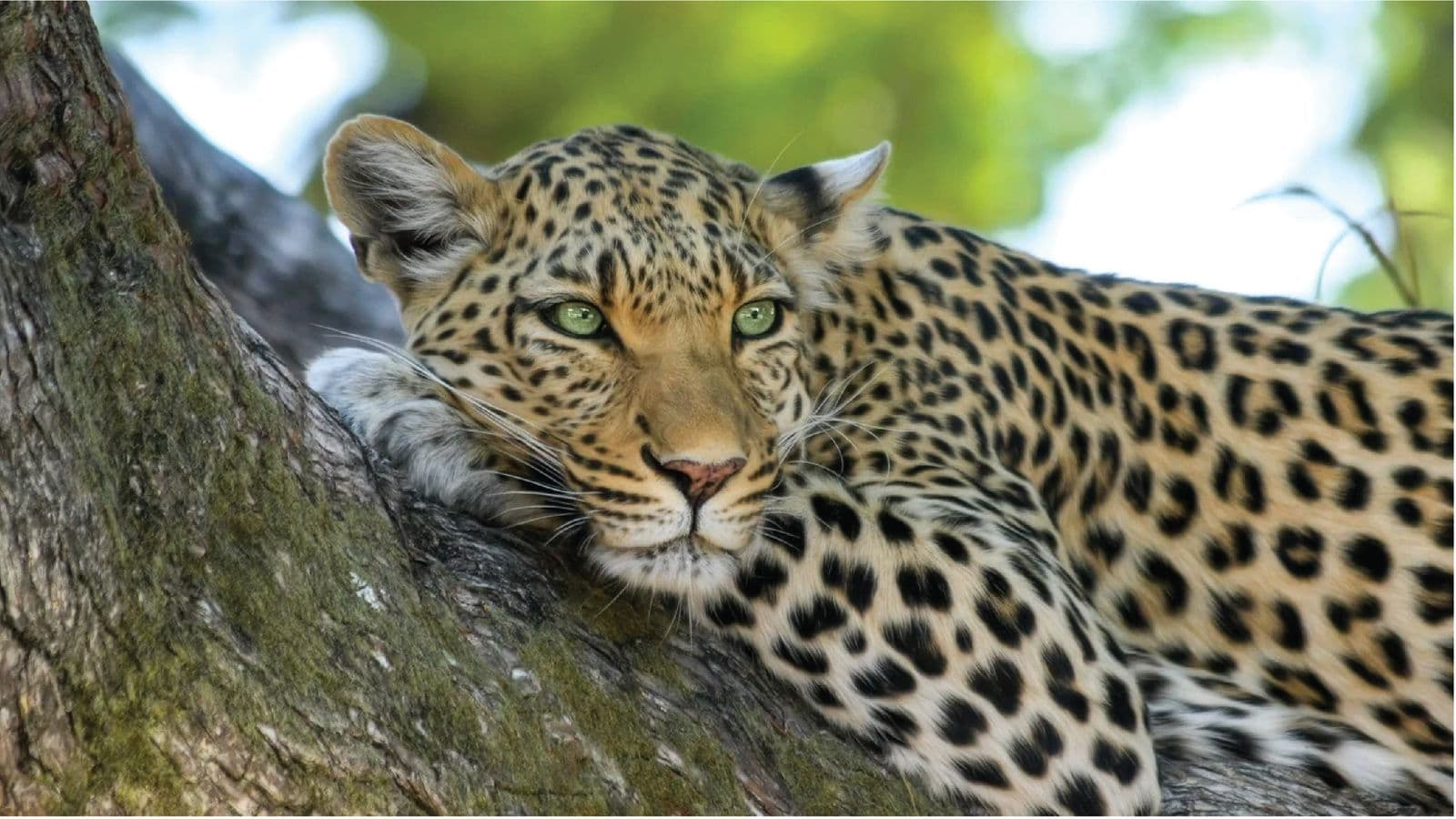 Kalatop Wildlife Reserve Kalatop Wildlife Reserve