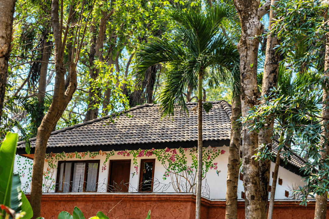 Why Saligao Is Perfect for Travellers Looking for a Quieter Stay in North Goa Why Saligao Is Perfect for Travellers Looking for a Quieter Stay in North Goa